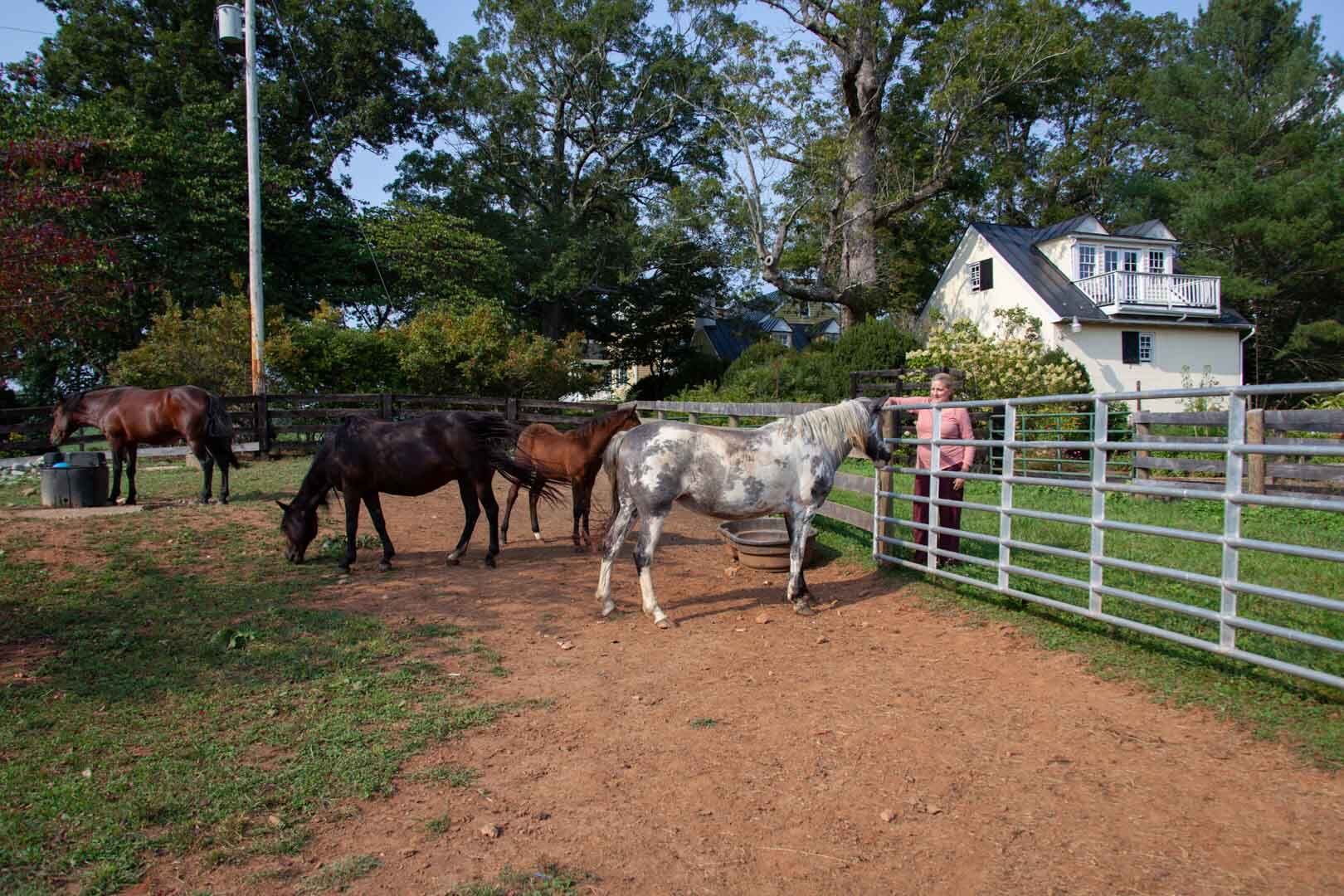 Farm-Tour-2021-Millwood_Farm-25-web.jpg